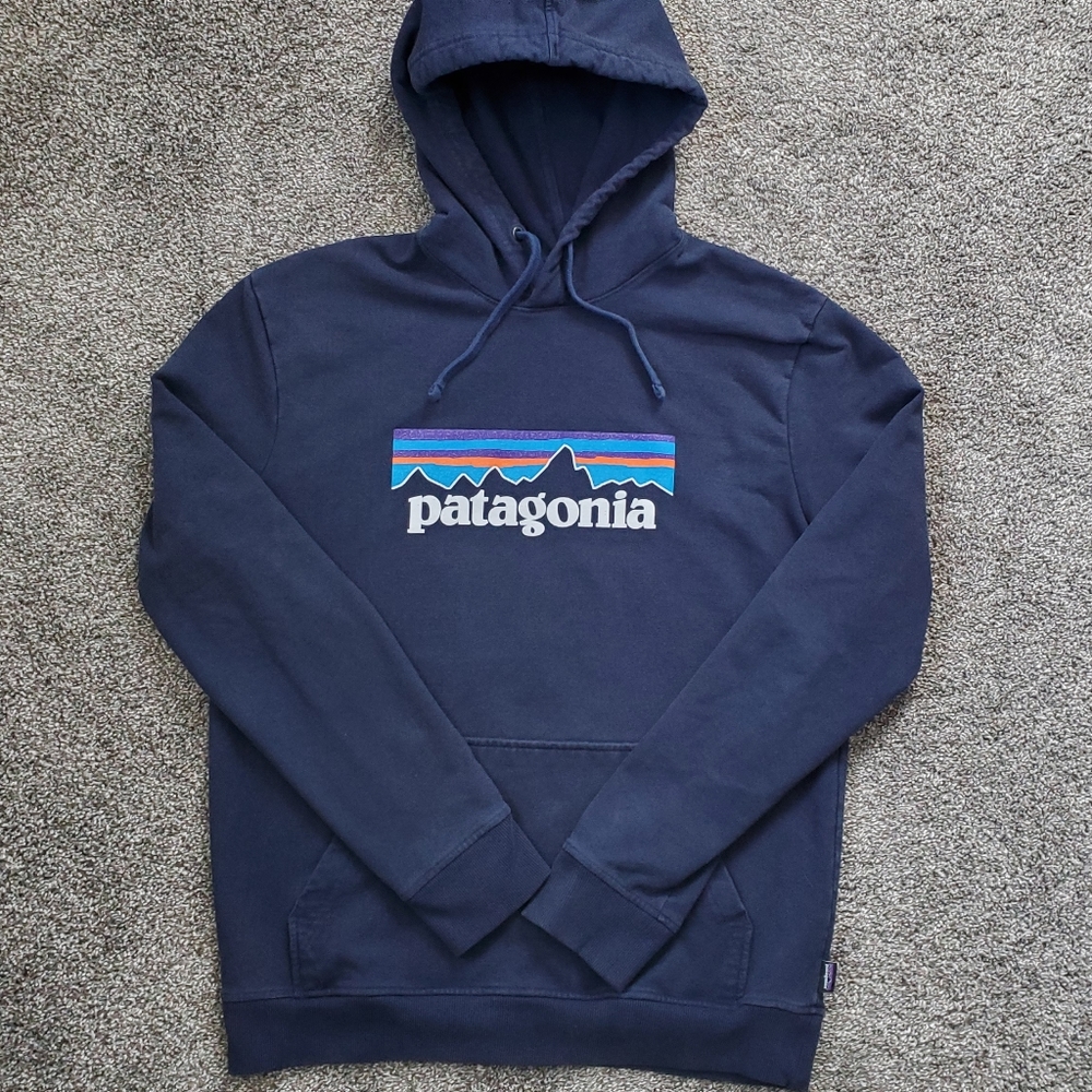 Patagonia Fitz Roy Uprisal Hoodie Sweatshirt